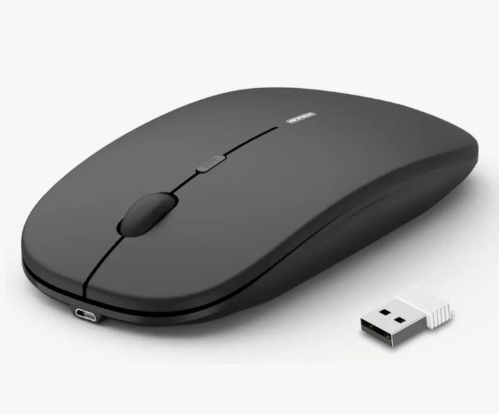 MOUSE